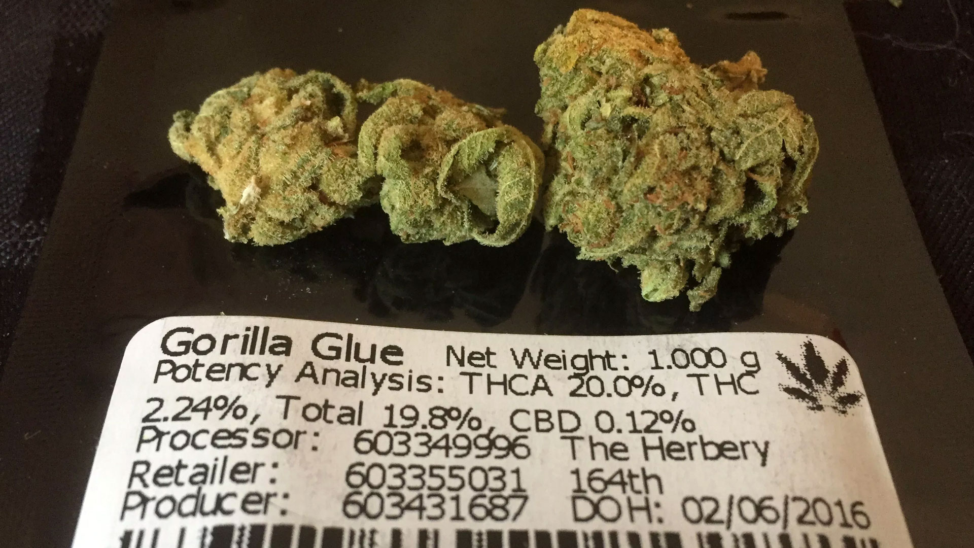 Gorilla Glue flower