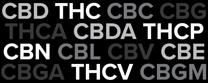 list of cannabinoids with grey and white text on black background