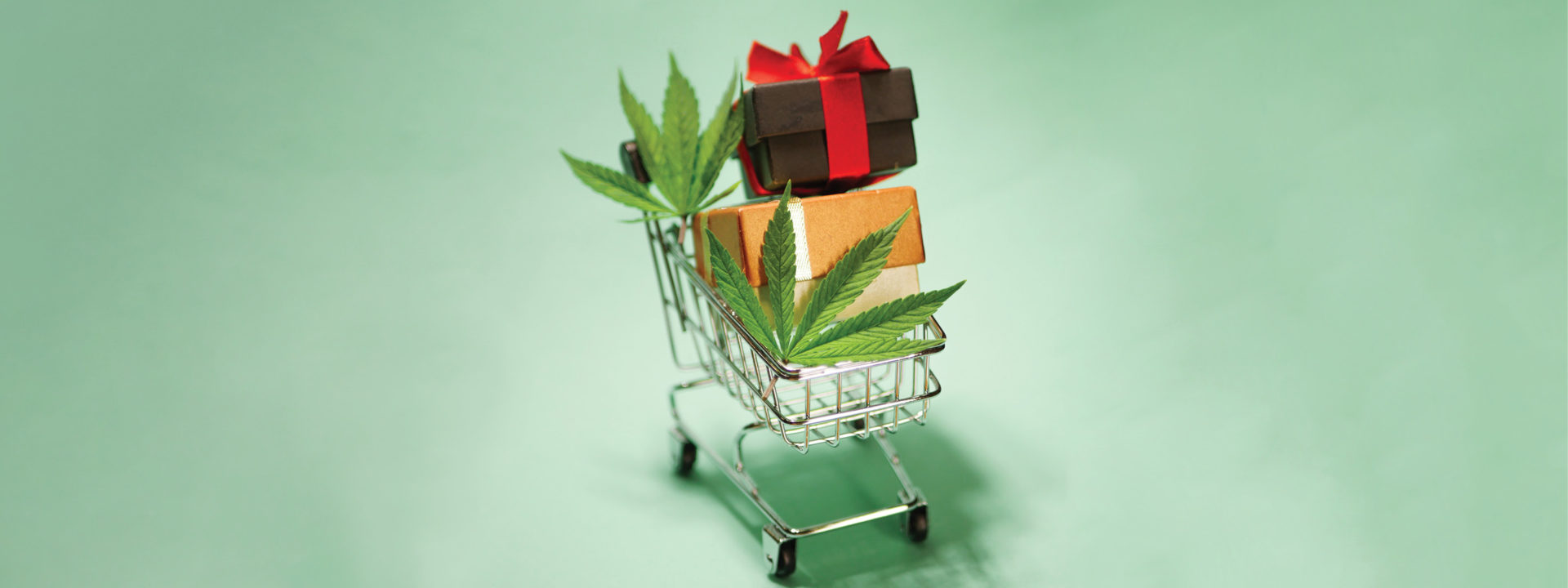 Silver shopping cart on light green background with two cannabis leaves in the cart and two small presents wrapped in a bow