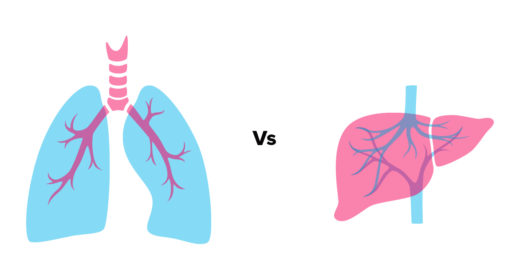 Lungs vs Liver