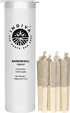 Rainbow Roll 10-pack